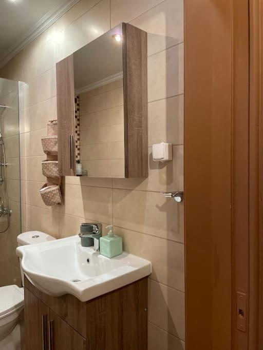Apartment Politis' Wooden House *